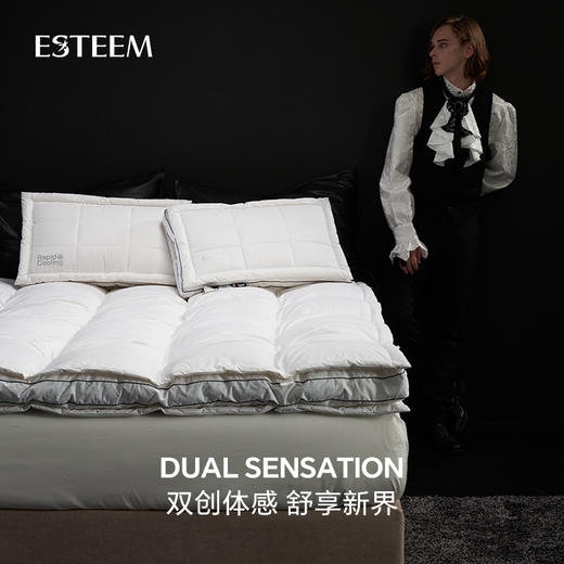双温双感365D鹅绒床垫 商品图2