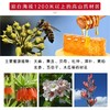峰鹤土蜂蜜撷芳500g 商品缩略图4