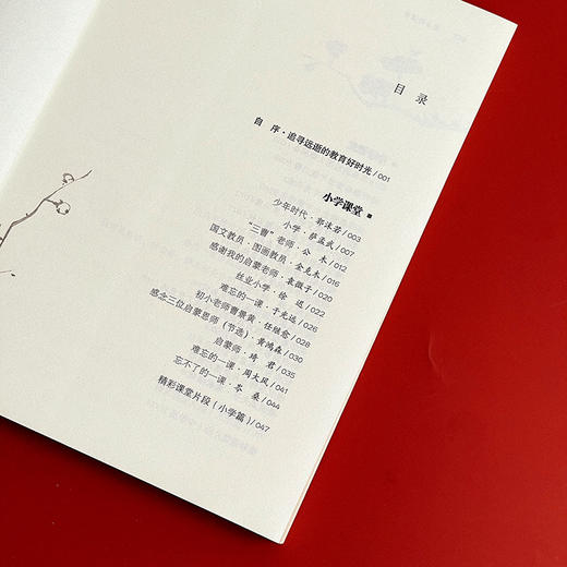 过去的课堂 民国名家的教育回忆 大夏书系 王木春 名家经典 民国名家三部曲之一 2016年教师喜欢的100本书 商品图6