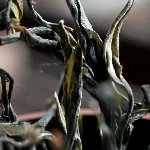 【七星千羽孔雀】2023年头春头采周年庆特制品从经典到创新始于班章终于易武两大鼎级产区独家拼配技艺拍5发6拍20发25 商品图2