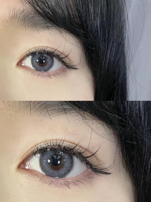 M12巴赫灰 │ 大直径日抛 CLAIRE COLOR 商品图3