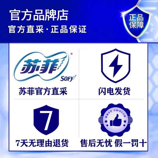 苏菲弹力贴身日用卫生巾 5片 商品图2