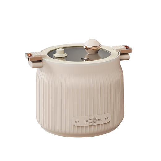 World Kitchen 微压电煮锅 商品图1