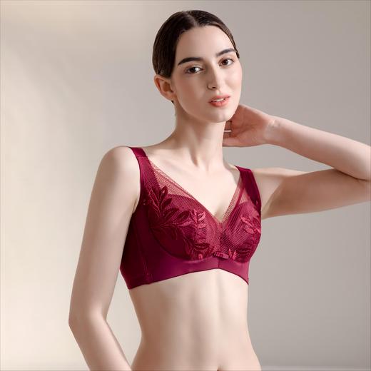 皇家丽美内衣女聚拢收副乳记忆钛圈薄款文胸大胸显小调整型文胸WJ063-1 商品图2
