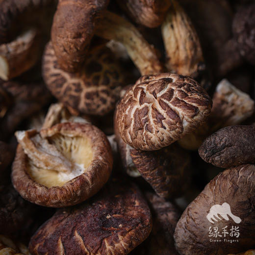野生大理香菇干 | 合作生产*Wild dried shiitake mushrooms | Coproduction 商品图2