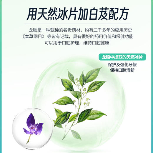 善贞善尔天然冰片牙膏无氟化物无染色剂无芳香剂150g/支 商品图2