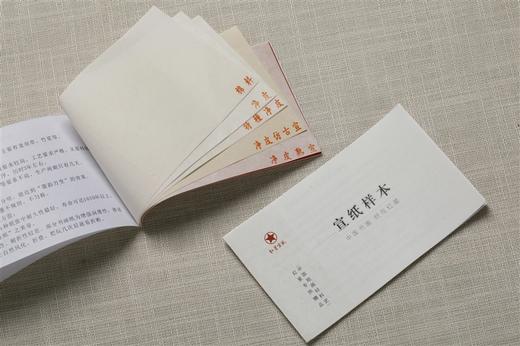 【红星宣纸样本已赠完】中国绘画材料史|蒋玄佁著|朵云文库·学术经典  商品图14