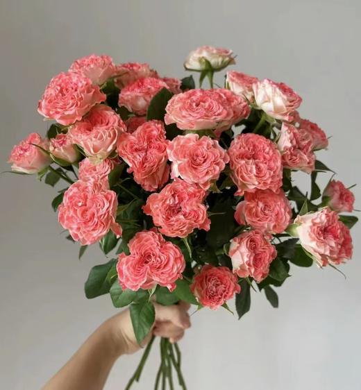 【周四秒杀】小仙女泡泡5枝59.8元 商品图0