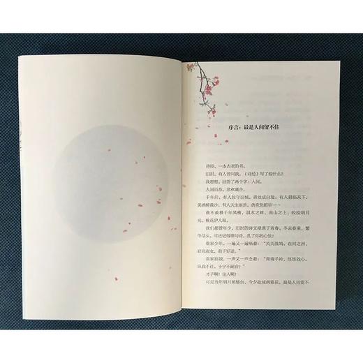 枕上诗书一本书读懂诗经的诗中国诗词大会诗经故事书籍 商品图4