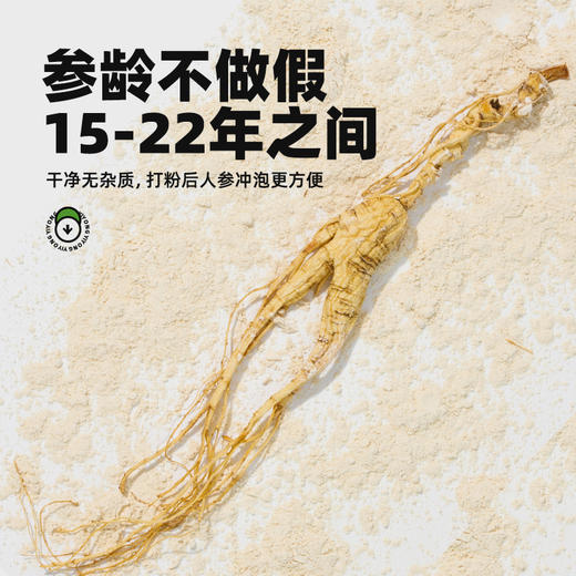 宜样 | 生晒野山参粉45g/瓶（分仓发货代发） 商品图4