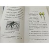 植物的生活/世界科普经典 商品缩略图1