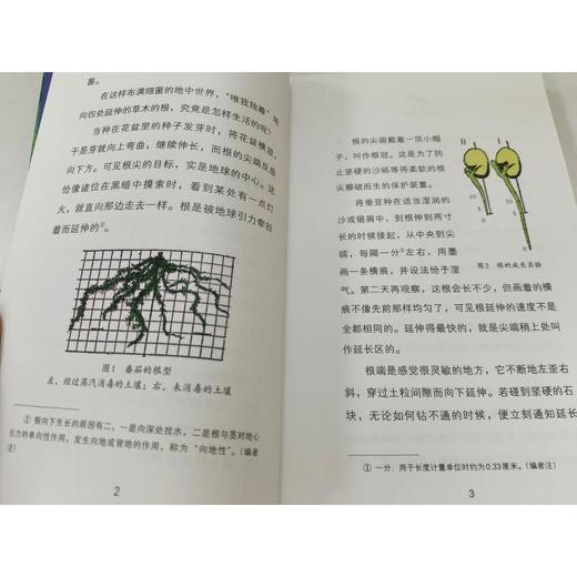 植物的生活/世界科普经典 商品图1