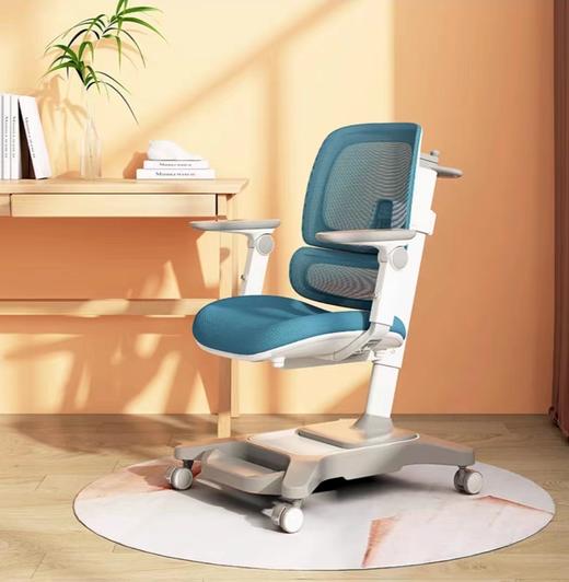 【云粉节】 9楼光明园迪 V8-2F正姿椅   吊牌价3880元  活动价3080元 商品图0