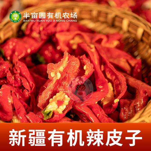 【新疆有机辣皮子200g*2】多吃不上火，调味主菜都好吃。 商品图4