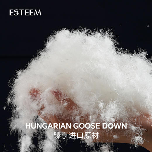 双温双感365D鹅绒床垫 商品图4