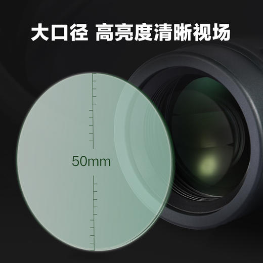 博冠（BOSMA）双筒望远镜 猛禽II 商品图2