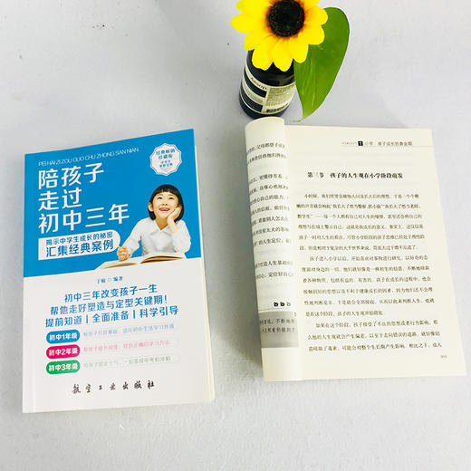  陪孩子走过小学六年初中三年家庭教育把话说到孩子心里去儿童心理学教育孩子的畅销书籍 商品图2