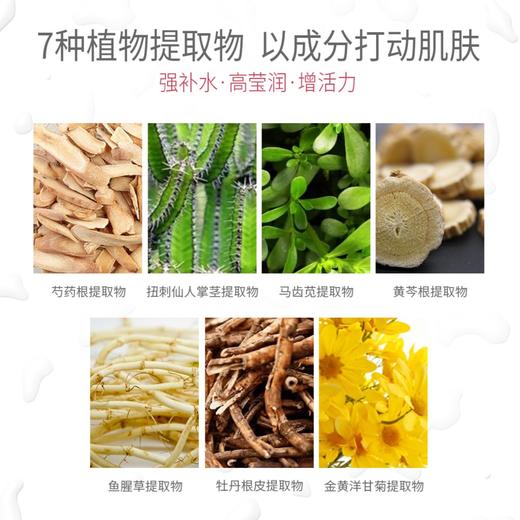 lkc兰可舍芮玫瑰微珠精华30ml 七大植物萃取 三大核心功效 商品图4