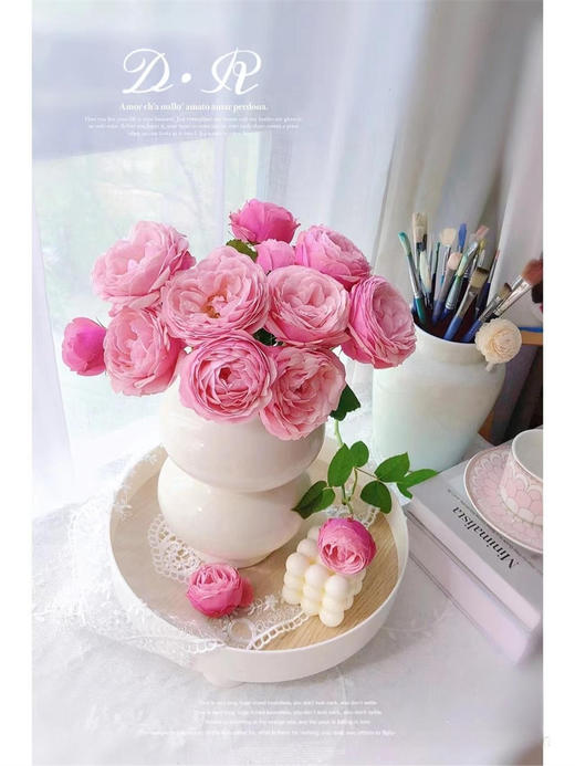 肯尼亚Silva Pink樱桃小丸子多头玫瑰花5支 商品图6