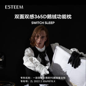 双温双感365D鹅绒功能枕