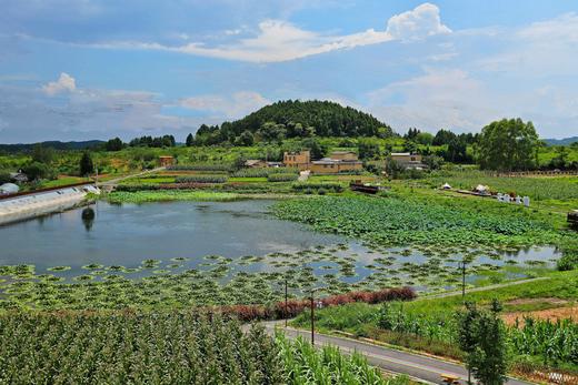 【绵阳·383号院】6房湖畔田园风院子，可体验蔬果采摘、钓鱼fg 商品图4