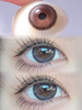 M10 水光狗狗眼灰 【日抛·十片装】 商品缩略图0