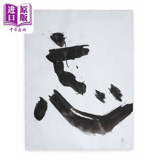 预售 【中商原版】Shiro Tsujimura : Ceramic Art and Painting 进口艺术 辻村史朗：陶艺与绘画 日本陶艺家设计集 商品图4