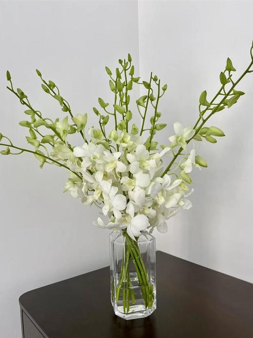 泰国洋兰千代兰紫罗兰各色可选10支 商品图2