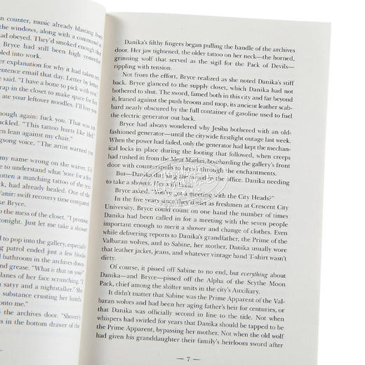 【中商原版】大地与血之屋 新月市系列  House of Earth and Blood 英文原版 Sarah J Maas 奇幻惊悚小说 商品图3