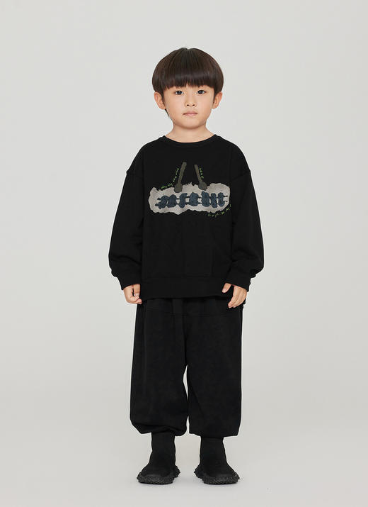 jnby  23年秋款  圆领套头卫衣  1N9411510 商品图8