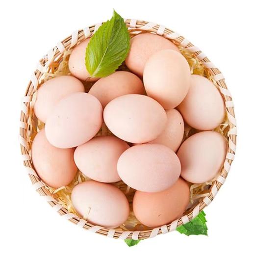 散养土鸡蛋 柴鸡蛋 新鲜土鸡蛋 月子蛋 老母鸡营养蛋50枚装 商品图5
