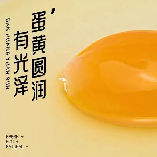 散养土鸡蛋 柴鸡蛋 新鲜土鸡蛋 月子蛋 老母鸡营养蛋50枚装 商品图6