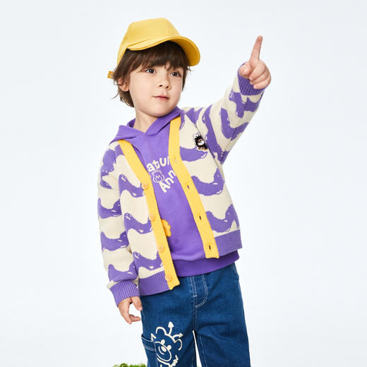 【实体店同款】男童毛衣提花秋新款针织开衫安奈儿童装XB334511 商品图1