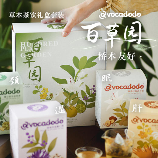 Avocadodo百草园茶包礼盒长辈朋友礼品蒲公英酸枣茯苓决明子 商品图0