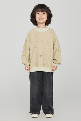 jnby  23年秋款 套头卫衣  1N9411950