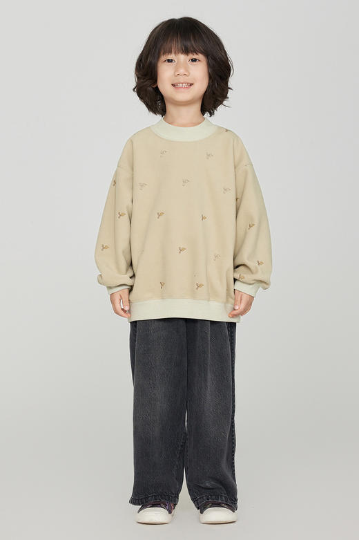 jnby  23年秋款 套头卫衣  1N9411950 商品图0