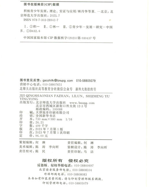 积极青少年发展：理论、实证与应用 9787303289417 国家社会科学基金重大项目 北京师范大学出版社 商品图3