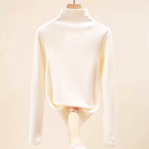 【女士打底衫秋冬必备】SCHIESSER德国舒雅女士半高领长袖打底衫里层轻磨毛，可打底可单穿保暖 最大尺码XXL30/21832Q 商品图1