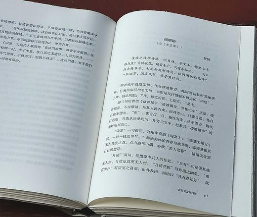 毛边精装本！！《沈祖棻全集》（前三卷）：《微波词 辩才集》《唐人七绝诗浅释》《宋词赏析 诵诗偶记》沈祖棻著，32开， 共1228页，广西师范大学出版社2023年8月一版一印。定价249，售价199.2 商品图8