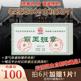 【王者之力】遥遥领先！老班章800古树黄片！茶气体感的爆炸体验！喝完半小时后体感还是满满的！云茶盟主自制收藏品！500克/片！霸王班章
