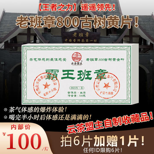 【王者之力】遥遥领先！老班章800古树黄片！茶气体感的爆炸体验！喝完半小时后体感还是满满的！云茶盟主自制收藏品！500克/片！霸王班章 商品图0