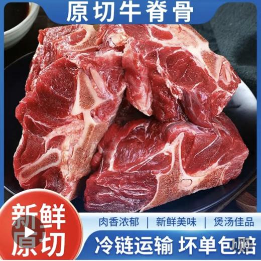 临泉原切牛脊骨新鲜现杀多肉牛龙骨 商品图1