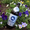 卡尔爵士原浆德国皇家手工精酿500ml*8瓶装浅色小麦白啤水晶城堡 商品缩略图5
