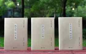 毛边精装本！！《沈祖棻全集》（前三卷）：《微波词 辩才集》《唐人七绝诗浅释》《宋词赏析 诵诗偶记》沈祖棻著，32开， 共1228页，广西师范大学出版社2023年8月一版一印。定价249，售价199.2