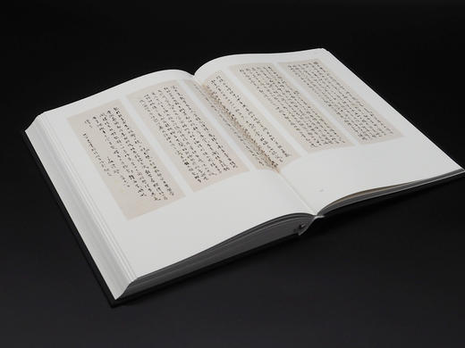 重磅推荐丨《陈之佛全集》（全16卷） 商品图10