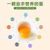 山林散养无抗土鸡蛋 30枚/箱装/不参与满减 商品缩略图1