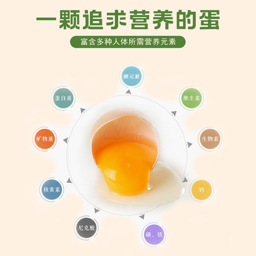 山林散养无抗土鸡蛋 30枚/箱装/不参与满减 商品图1