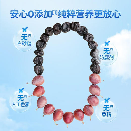 小鹿蓝蓝无核西梅干 50g 商品图3