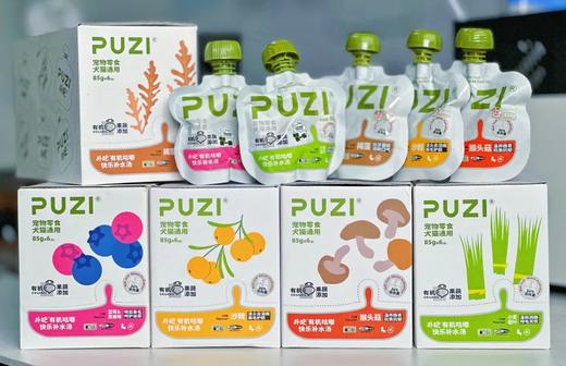 扑吃有机果蔬汤包 猫狗通用 口味备注 默认随机 商品图0