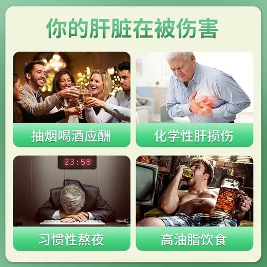 专属 99/5瓶 康恩贝男士辅助护肝赛维片水飞蓟奶蓟调节血脂成人中老年养肝 商品图1